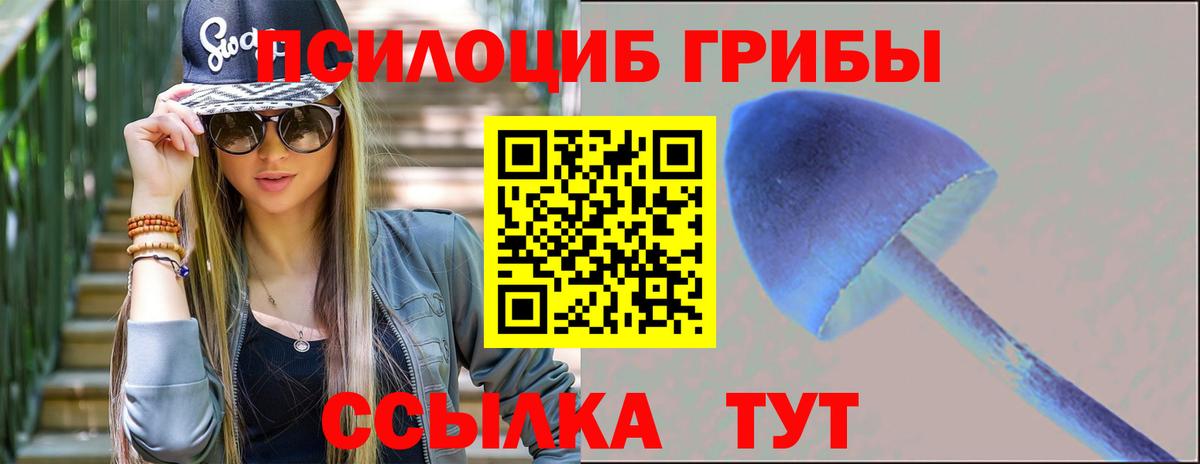 Урус-Мартан  Галлюциногенные грибы Psilocybe  Псилоцибиновые грибы Cubensis  Вход с VPN 